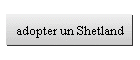 adopter un Shetland