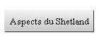 Aspects du Shetland