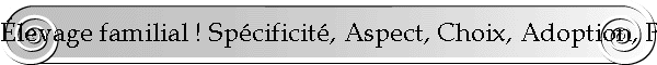 levage familial ! Spcificit, Aspect, Choix, Adoption, Prix, Sant, Qualit, Histoire et origines, couleurs rarissimes, varits rares, Objectif et exprience d'levage, Photos parlantes de la beaut des reproducteurs s